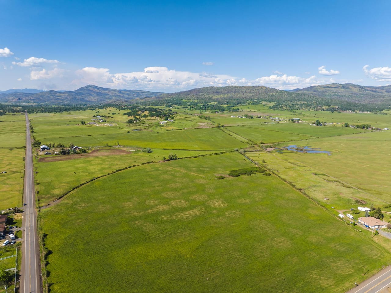 Reese Creek Farm