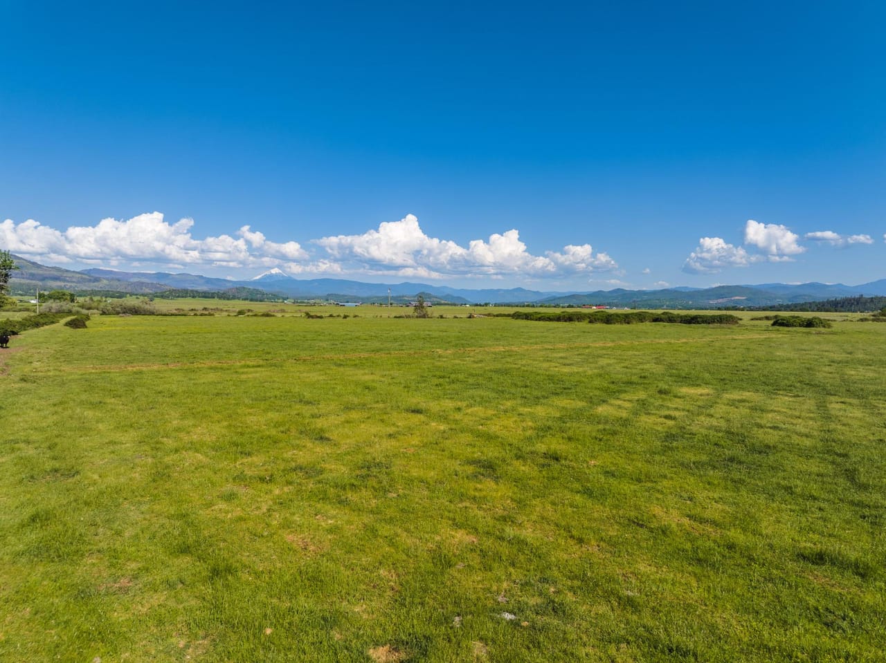 Reese Creek Farm