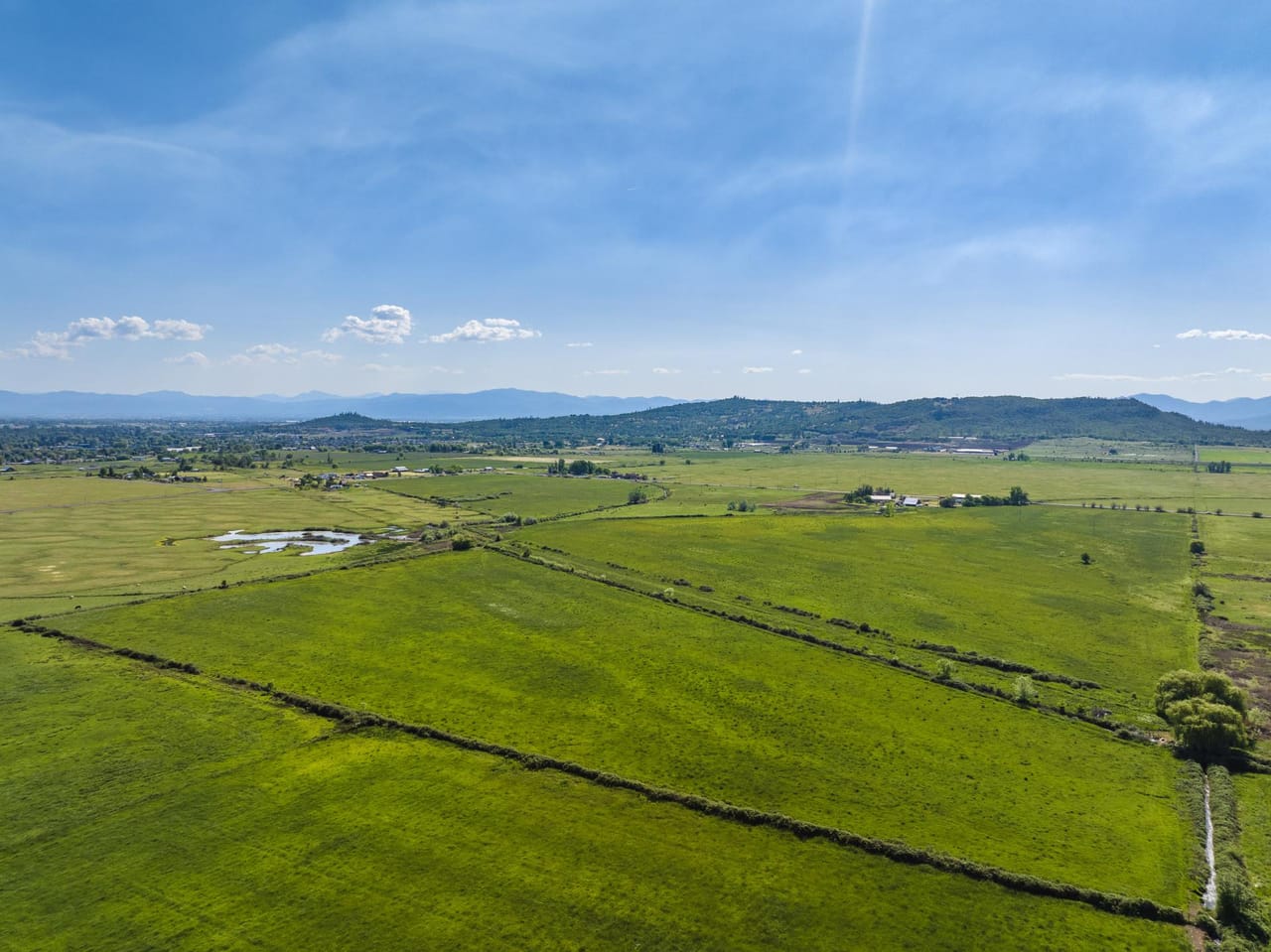 Reese Creek Farm