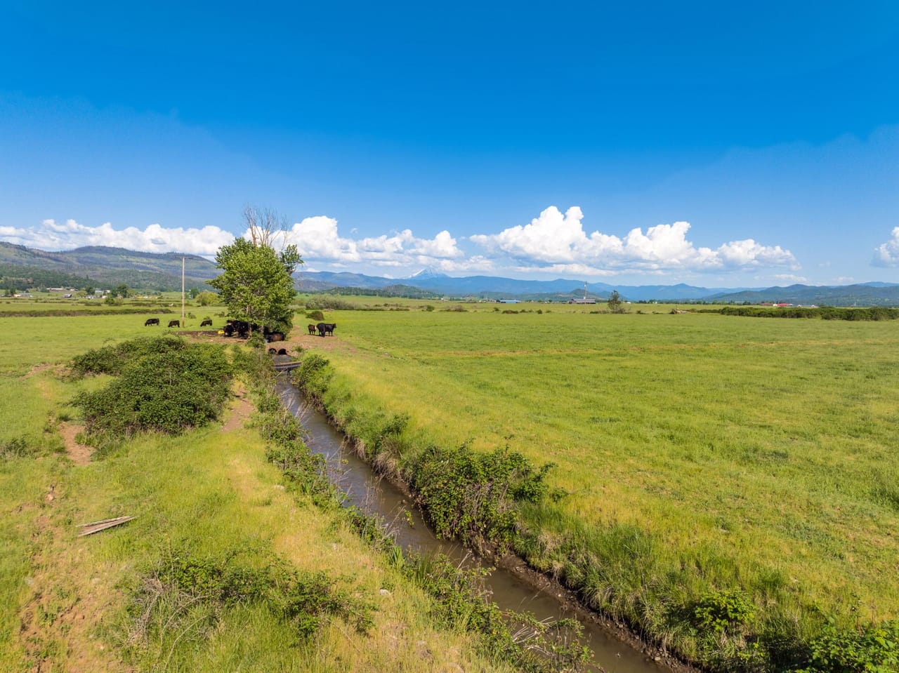 Reese Creek Farm