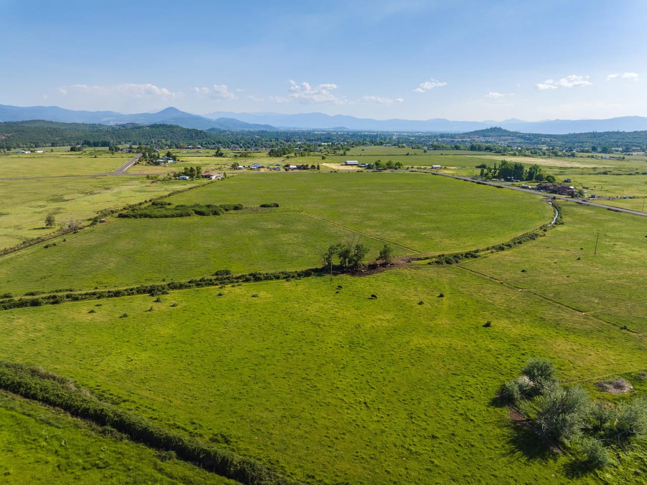 Reese Creek Farm