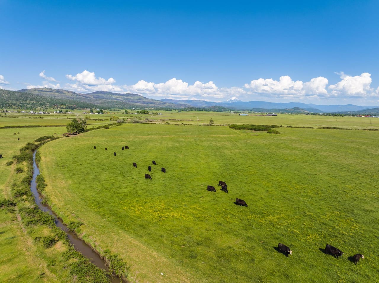 Reese Creek Farm