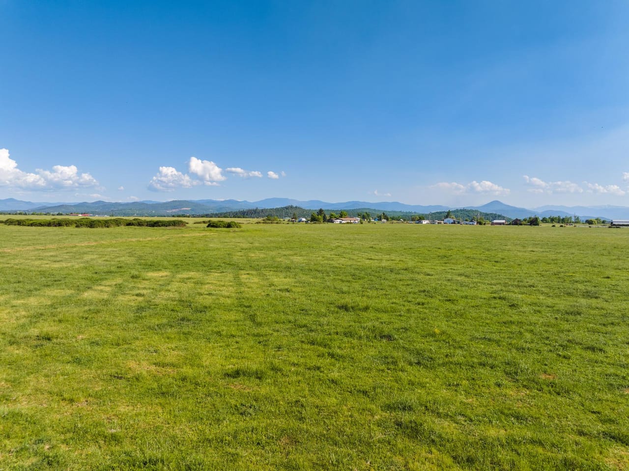 Reese Creek Farm