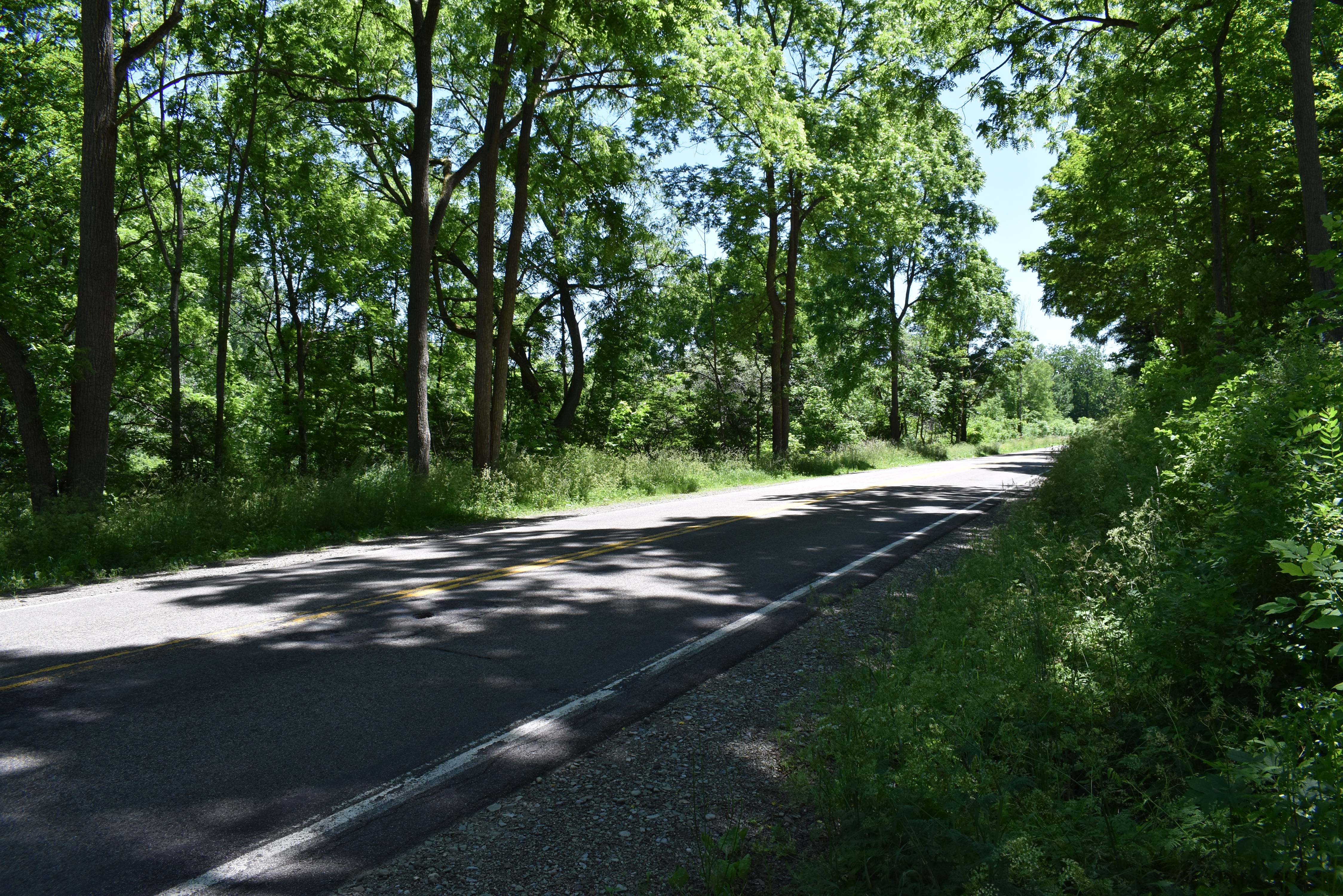 Fabulous Farrington Hollow