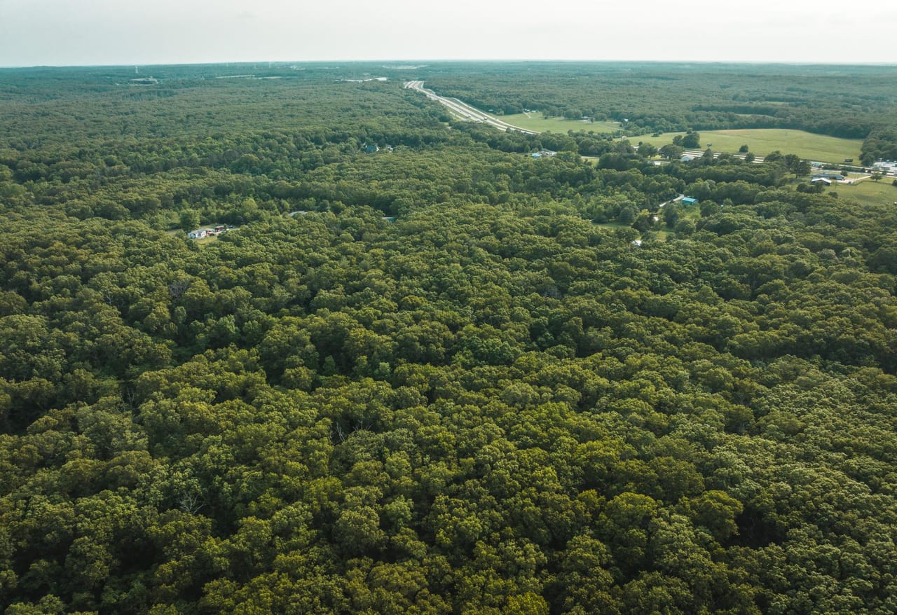Listing Image 12