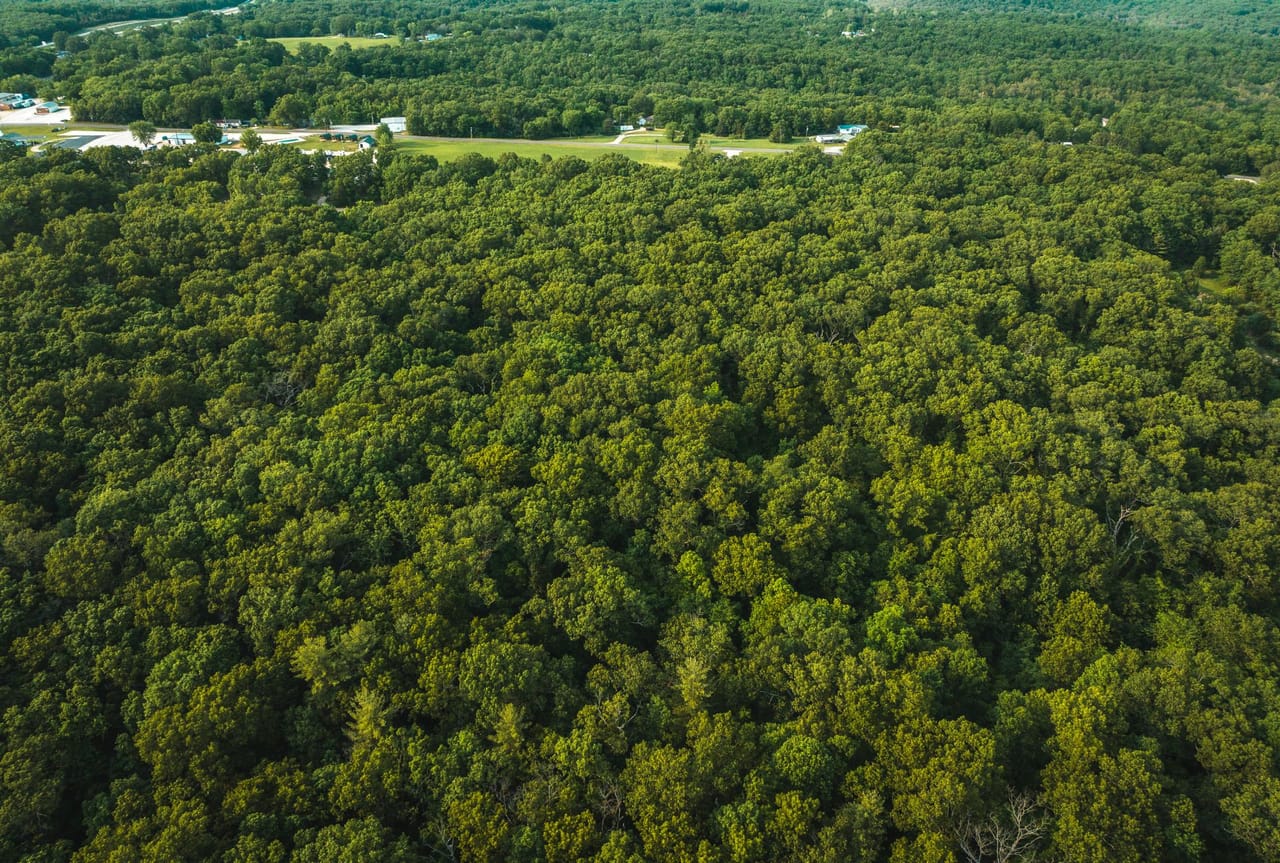 Listing Image 13