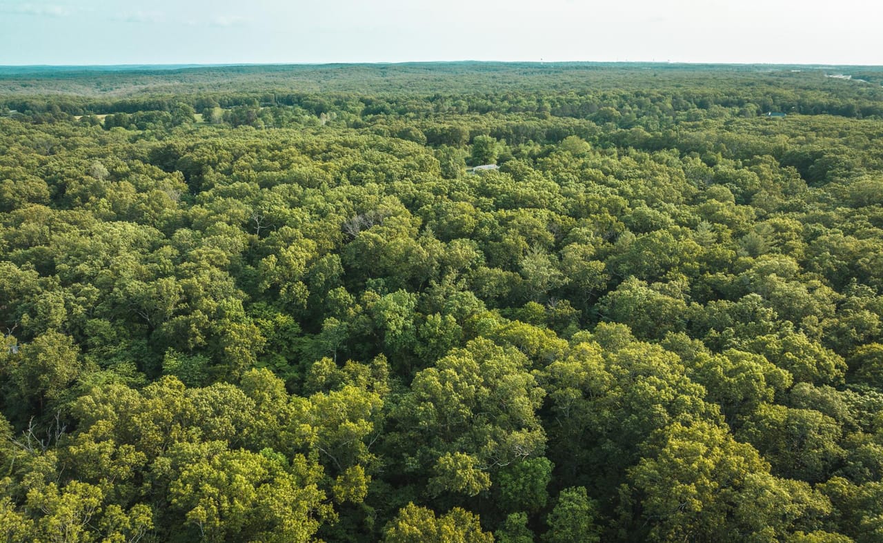 Listing Image 14