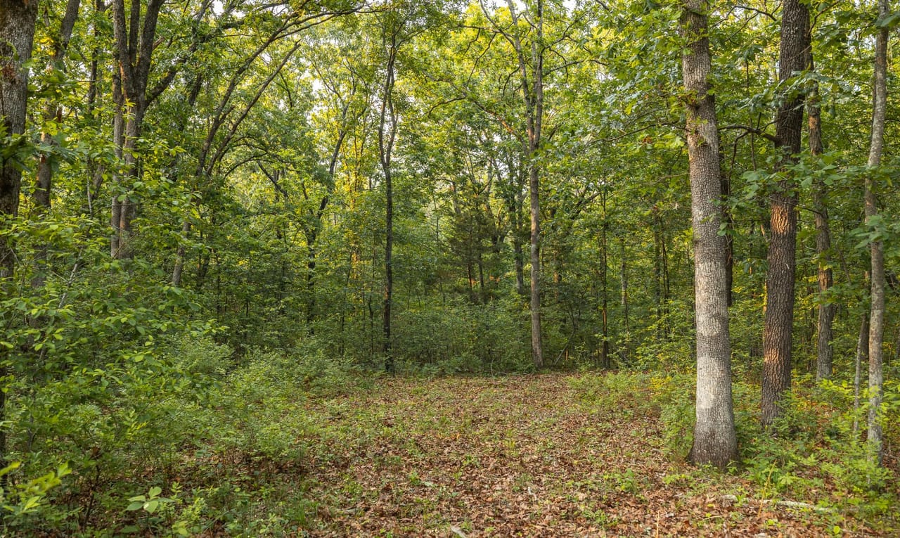 Listing Image 17