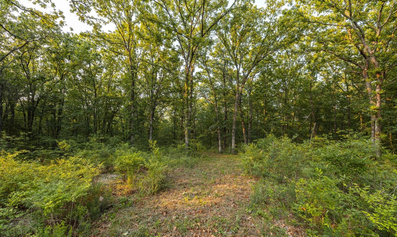 Listing Image 19