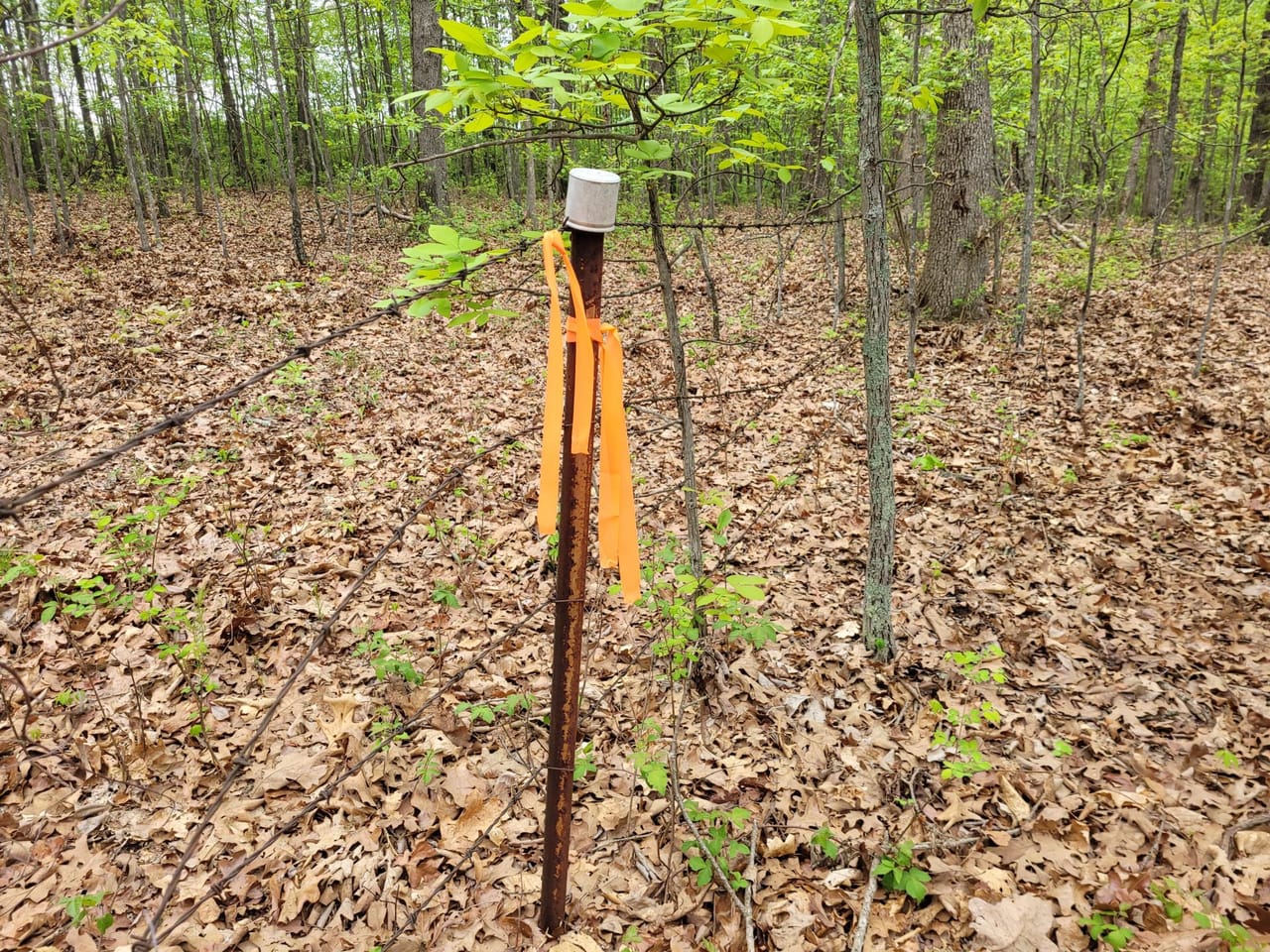 Listing Image 6