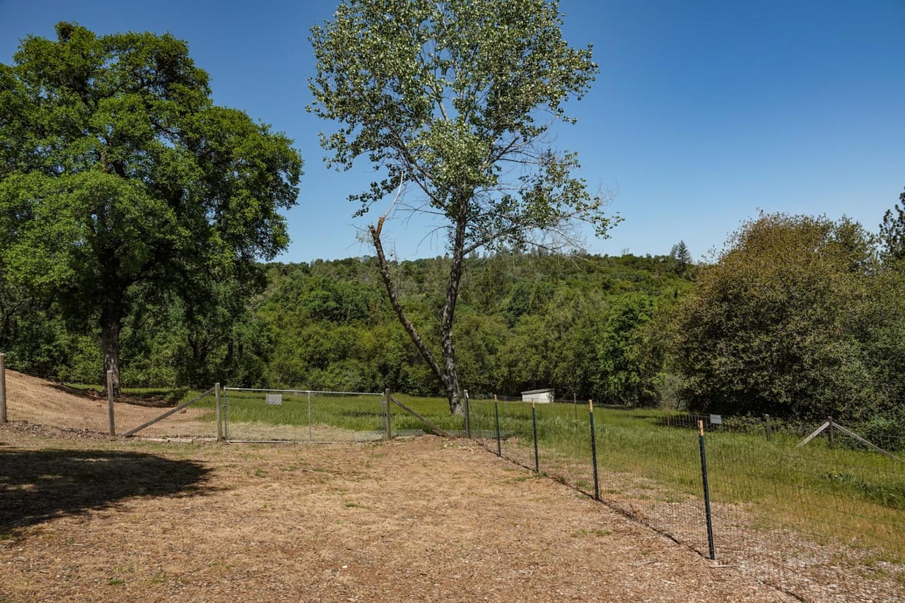 Listing Image 17