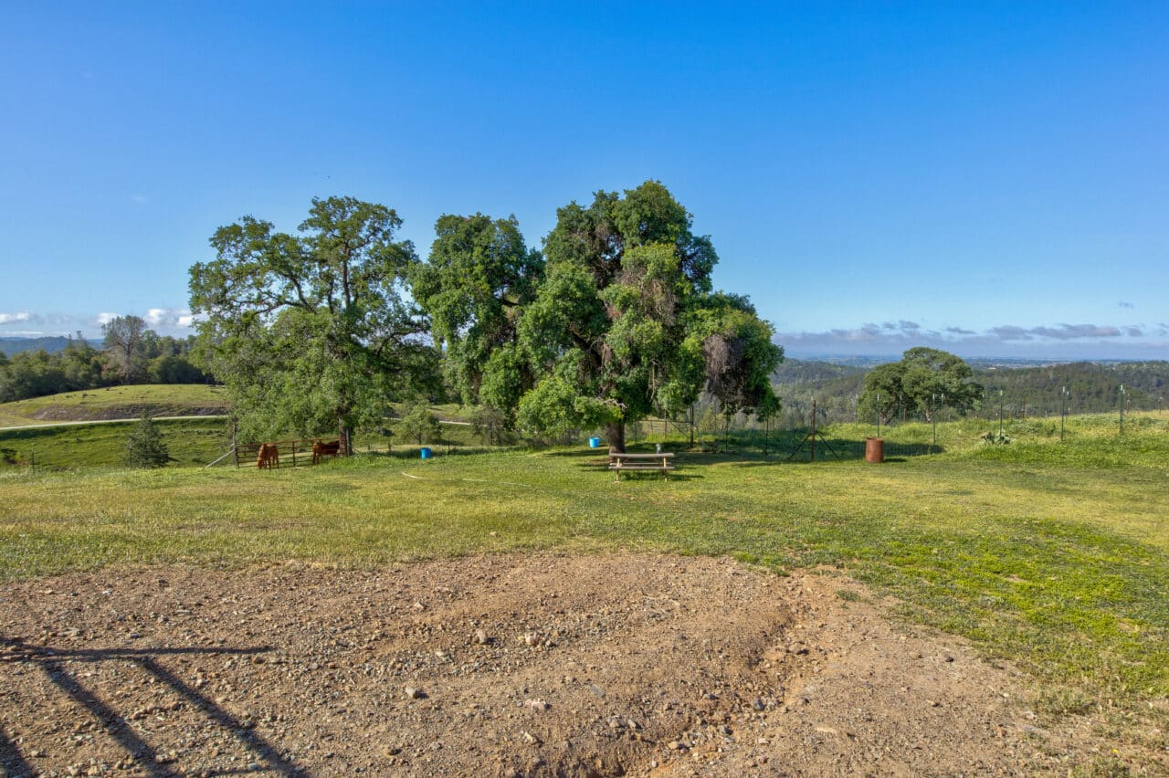 Trembath Mountain Vista