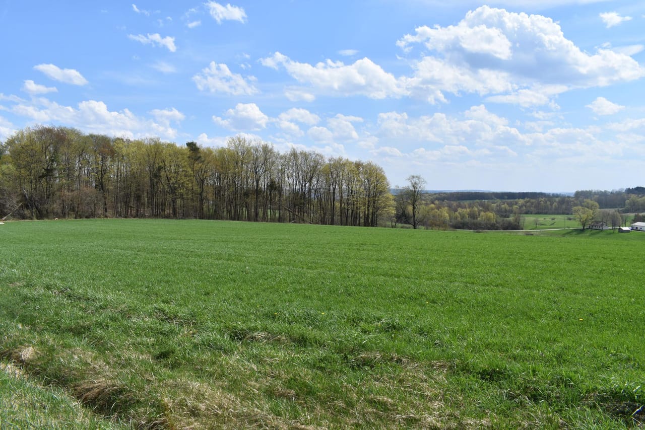 Listing Image 26