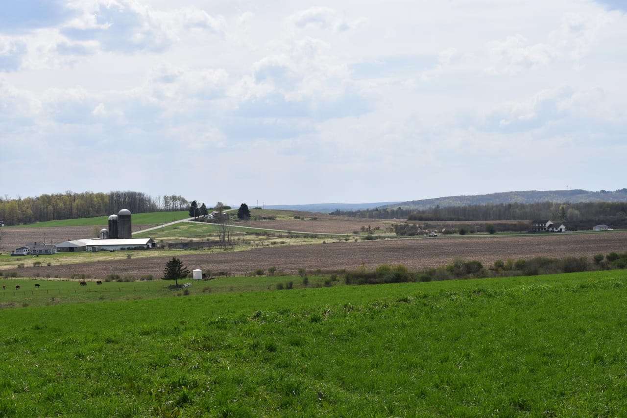 Listing Image 33