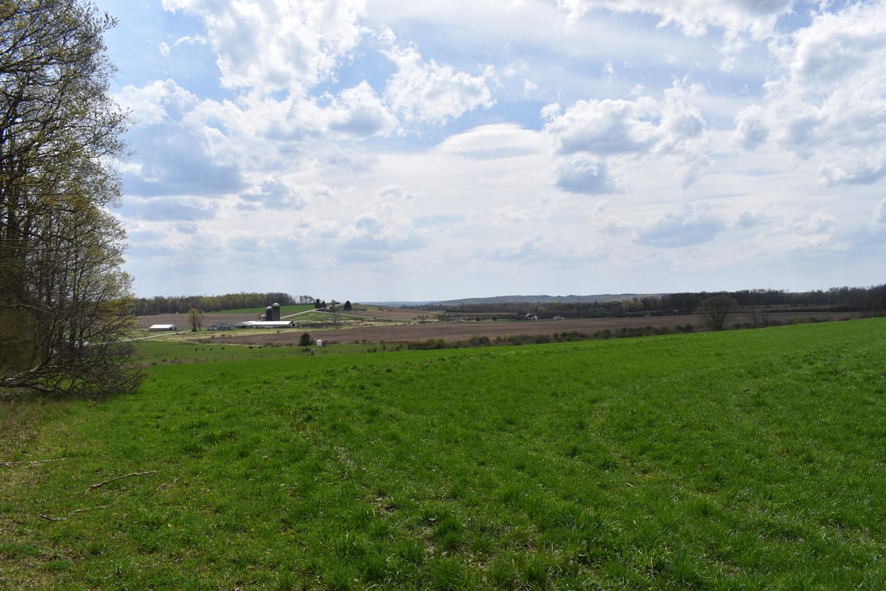 Listing Image 122
