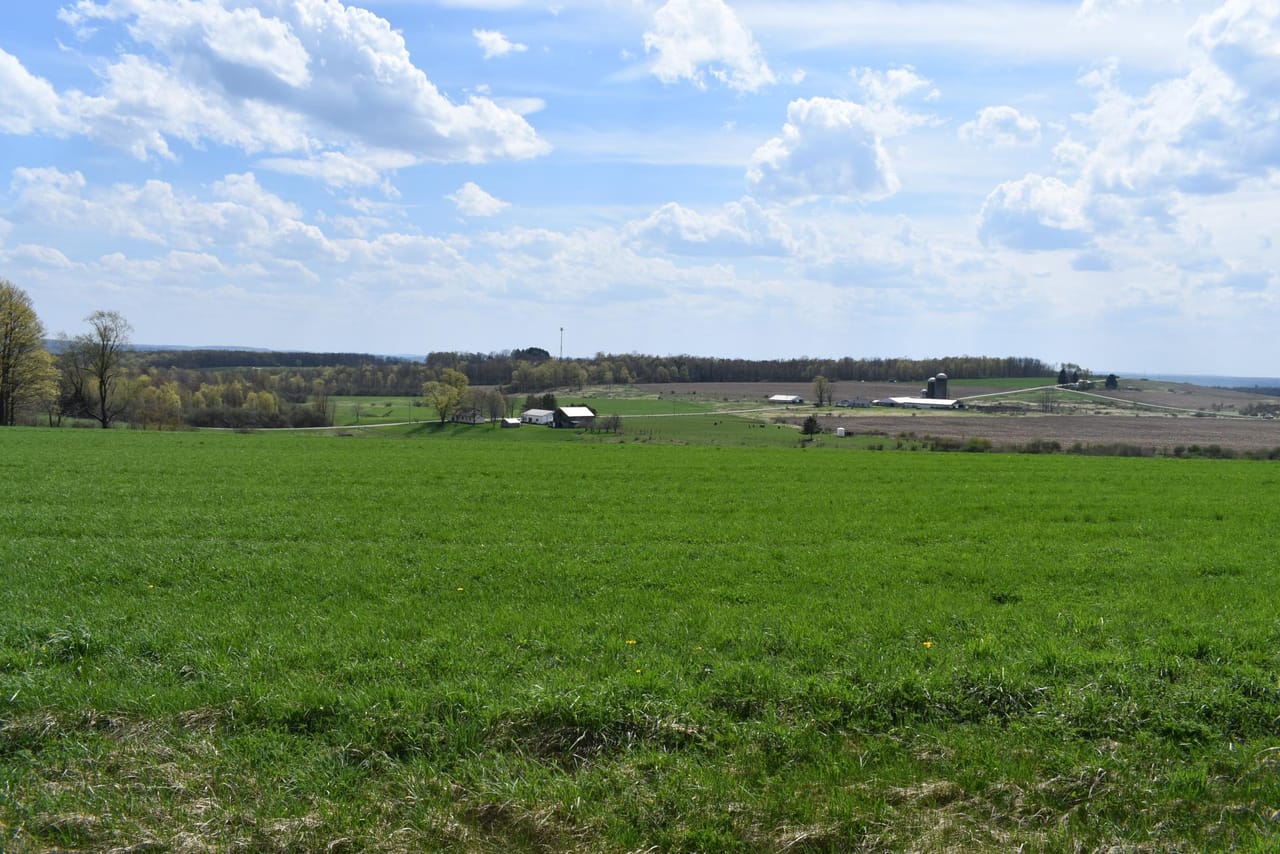 Listing Image 129