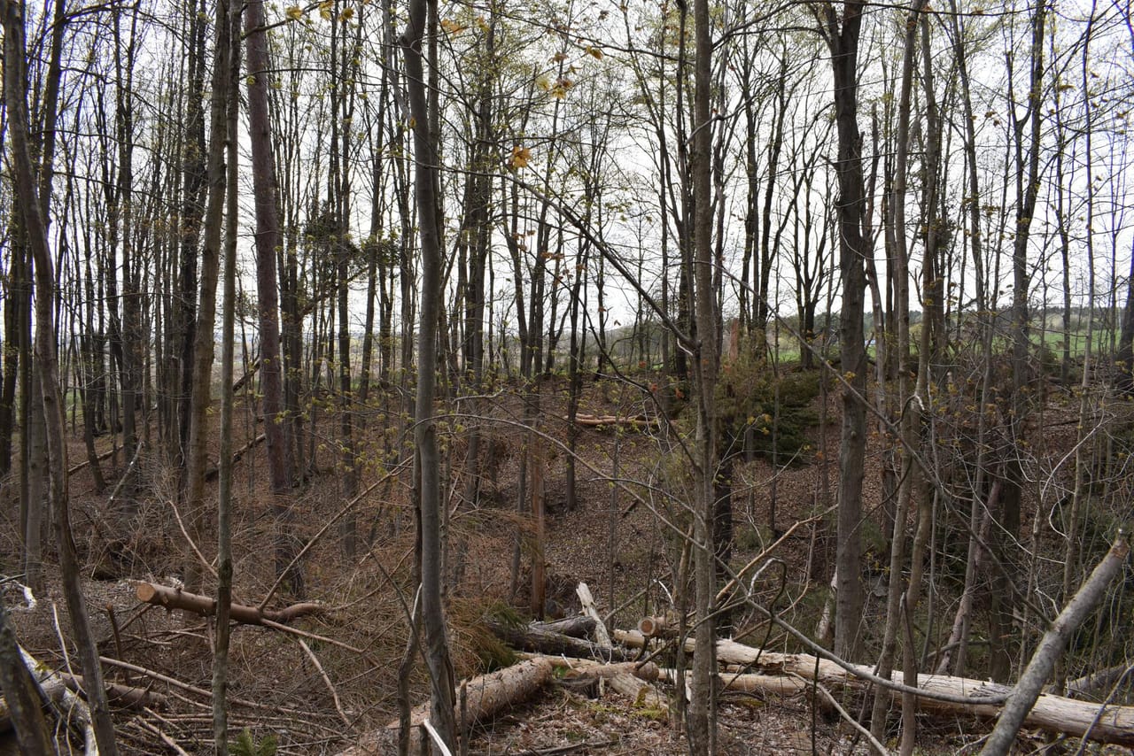 Listing Image 132