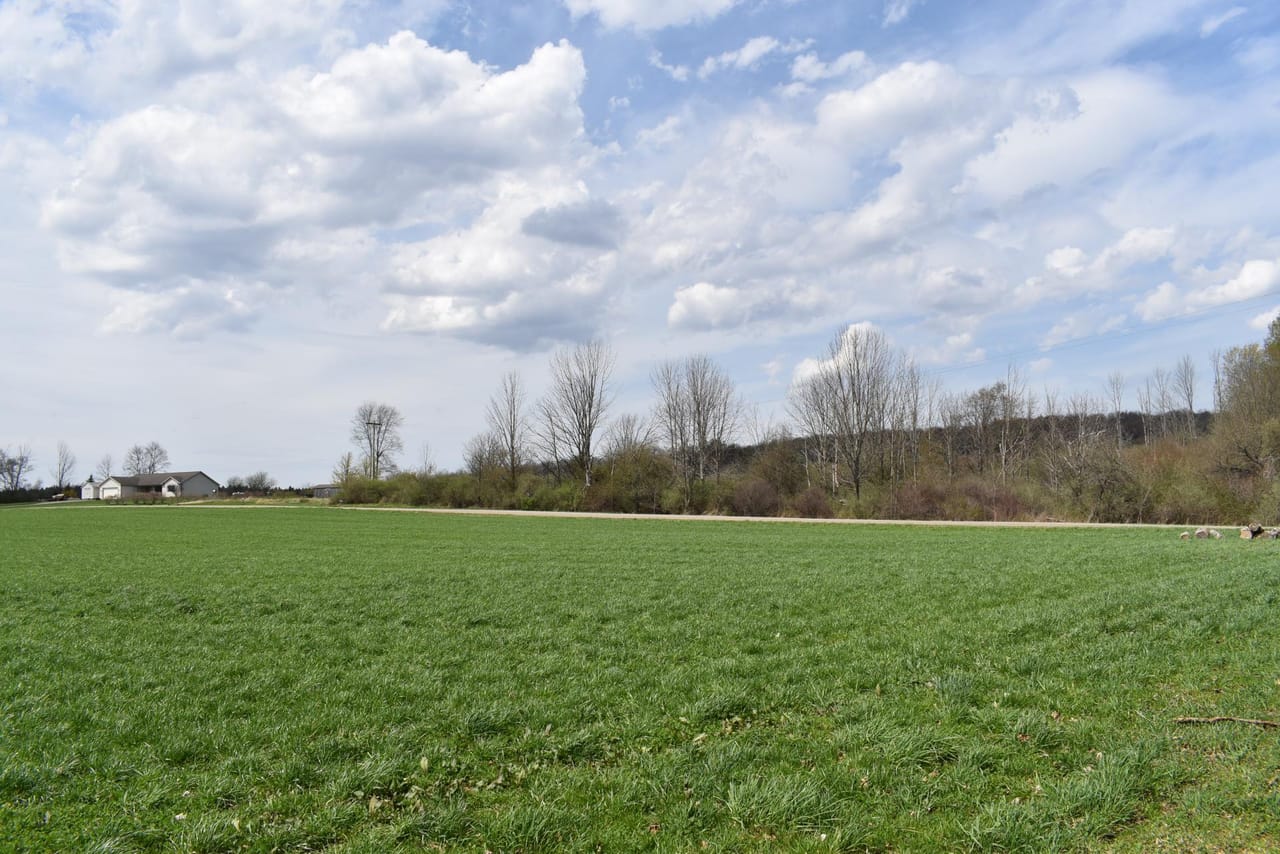 Listing Image 136