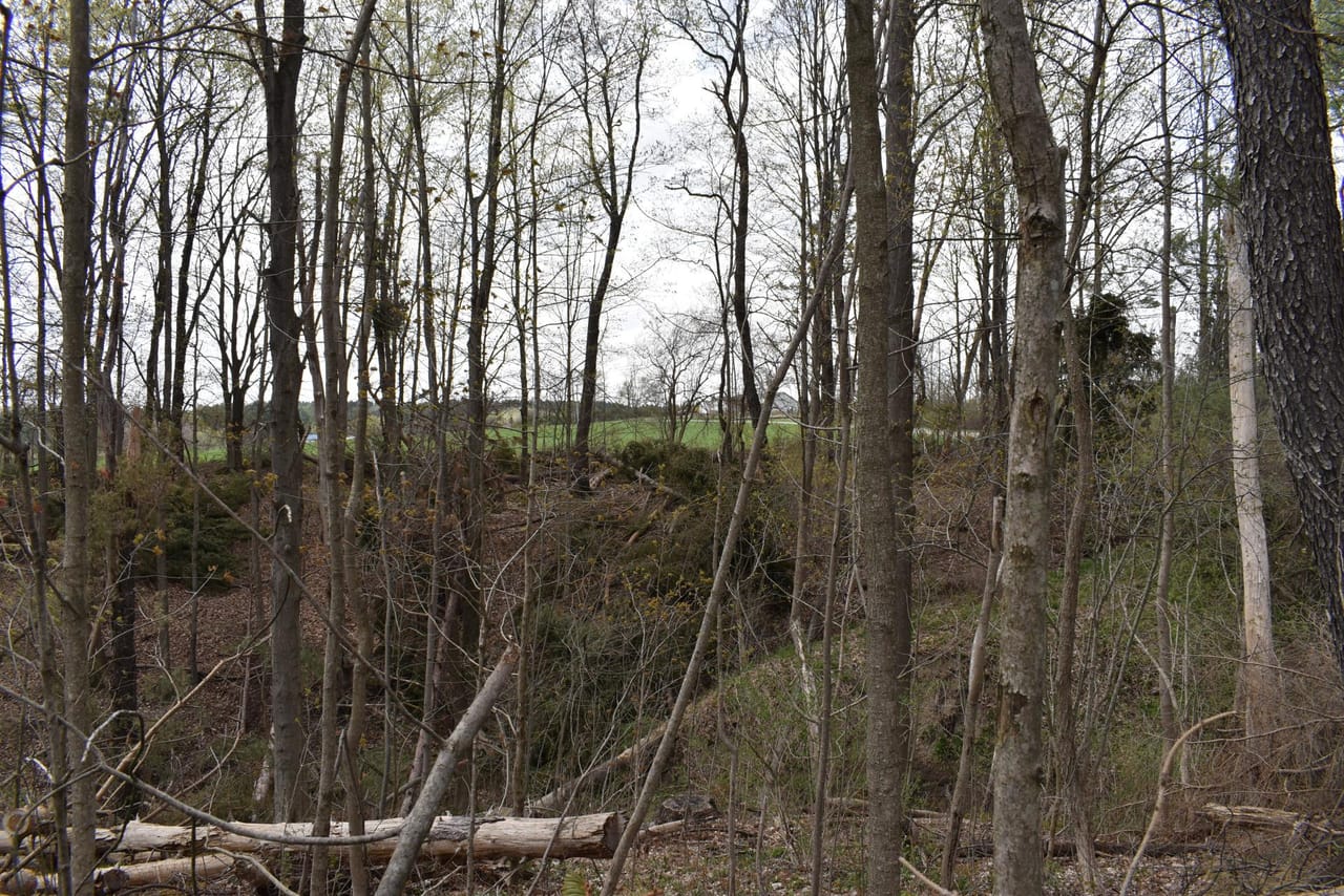Listing Image 140