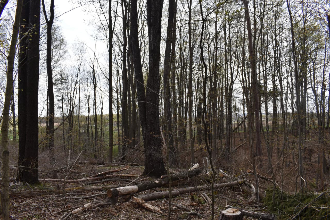 Listing Image 143