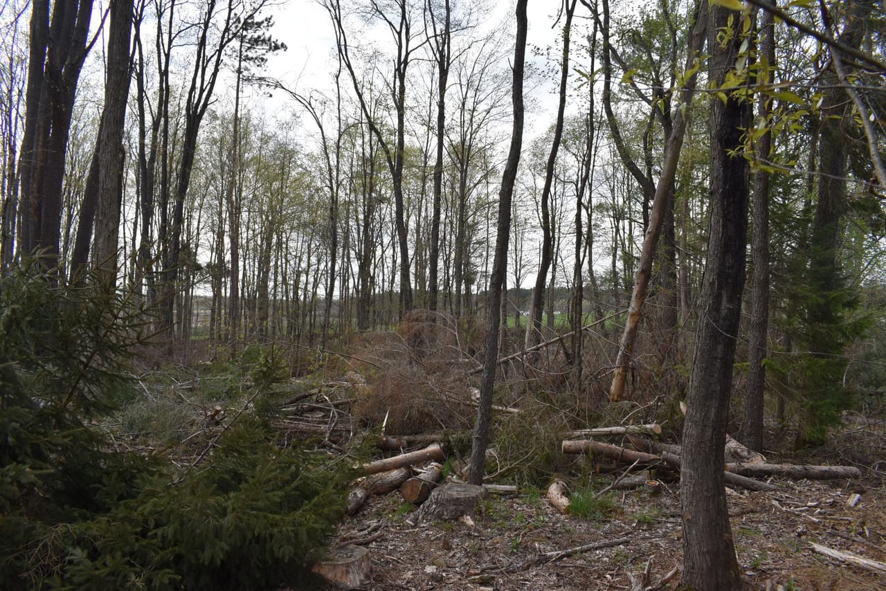 Listing Image 146