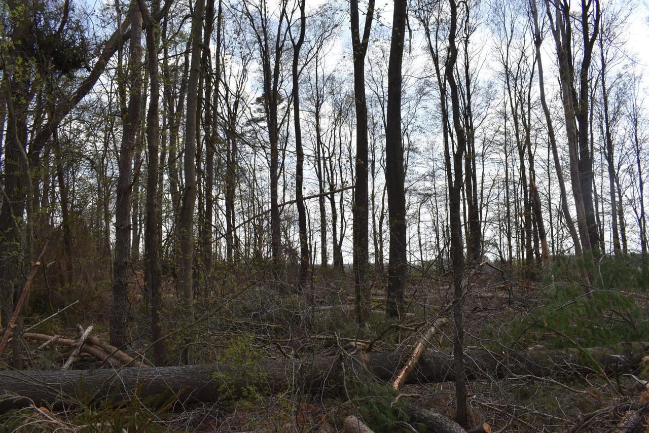 Listing Image 149