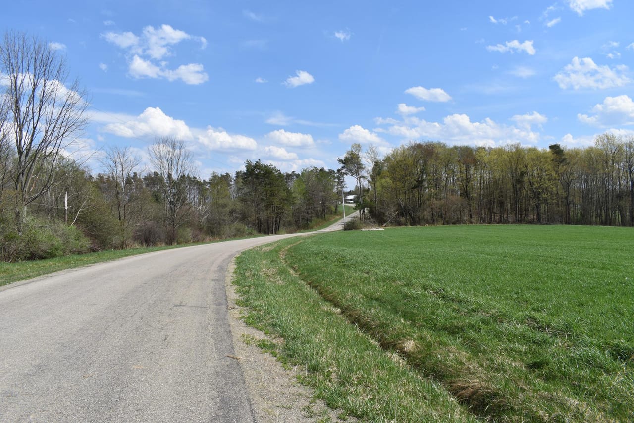 Listing Image 153
