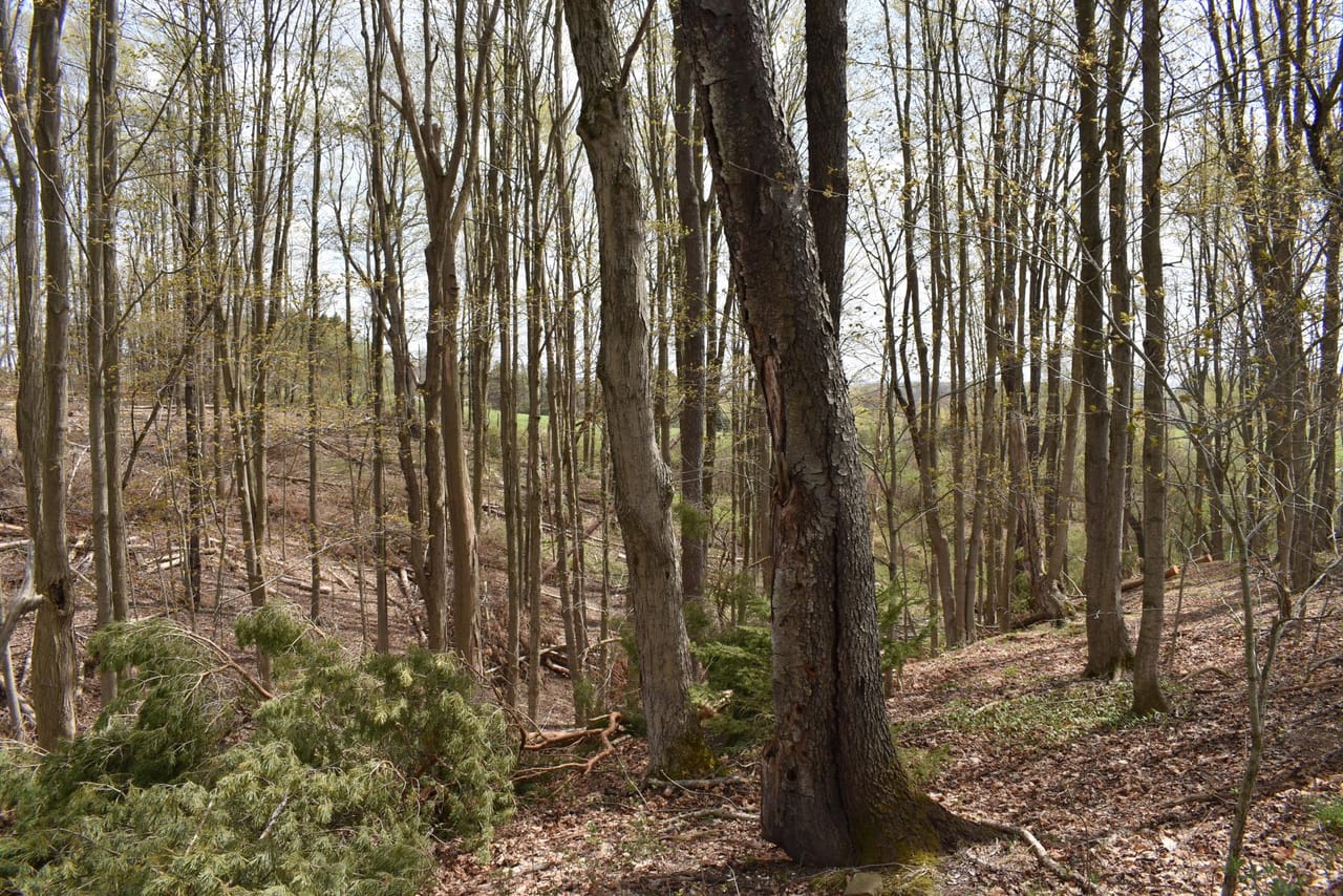 Listing Image 60