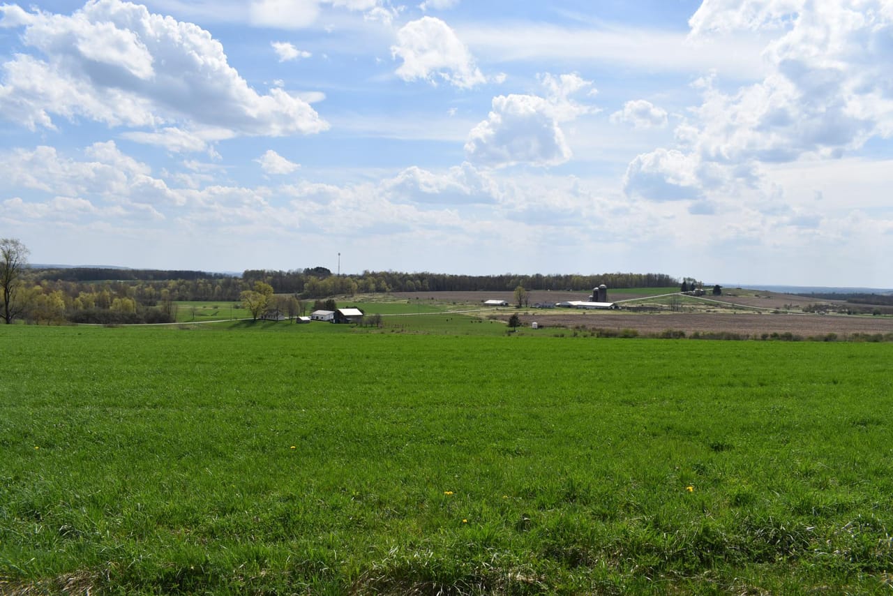 Listing Image 131