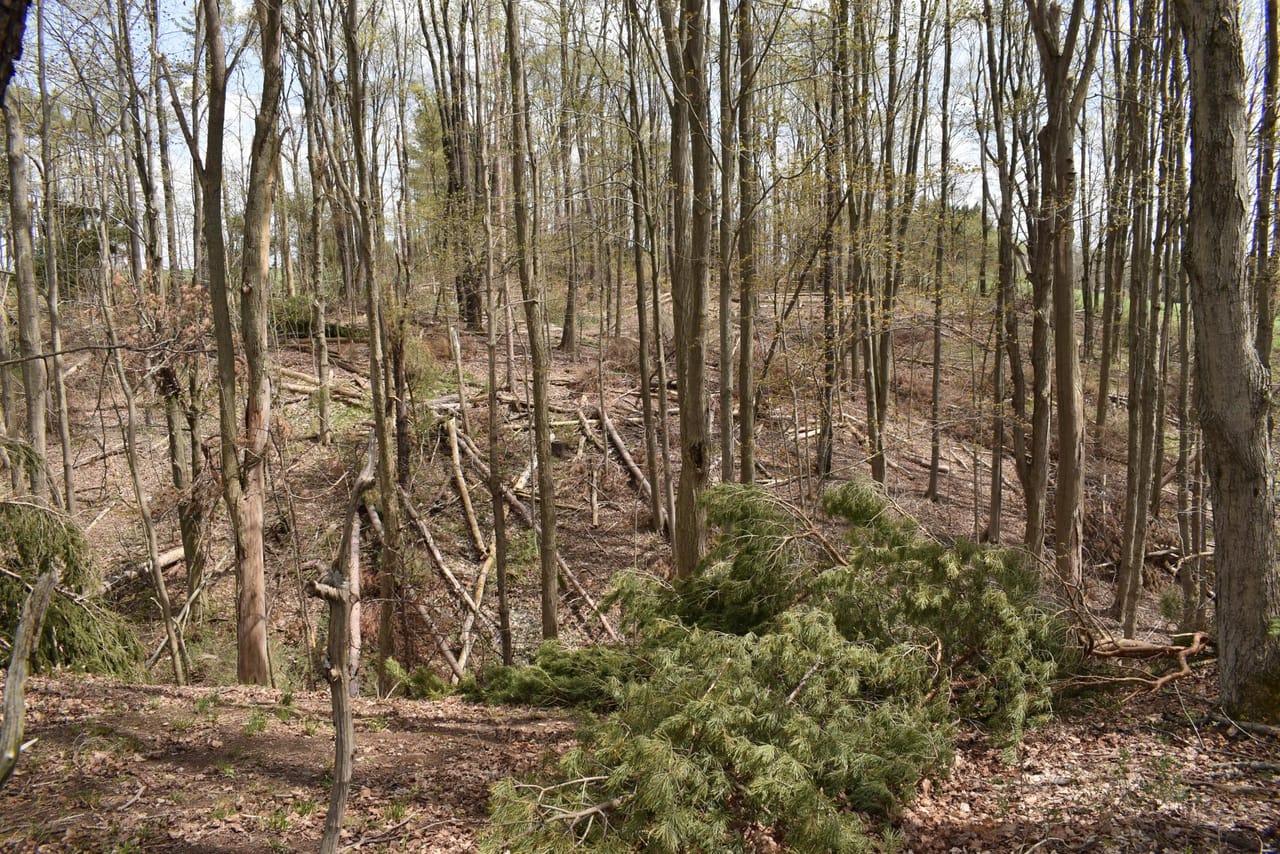 Listing Image 133