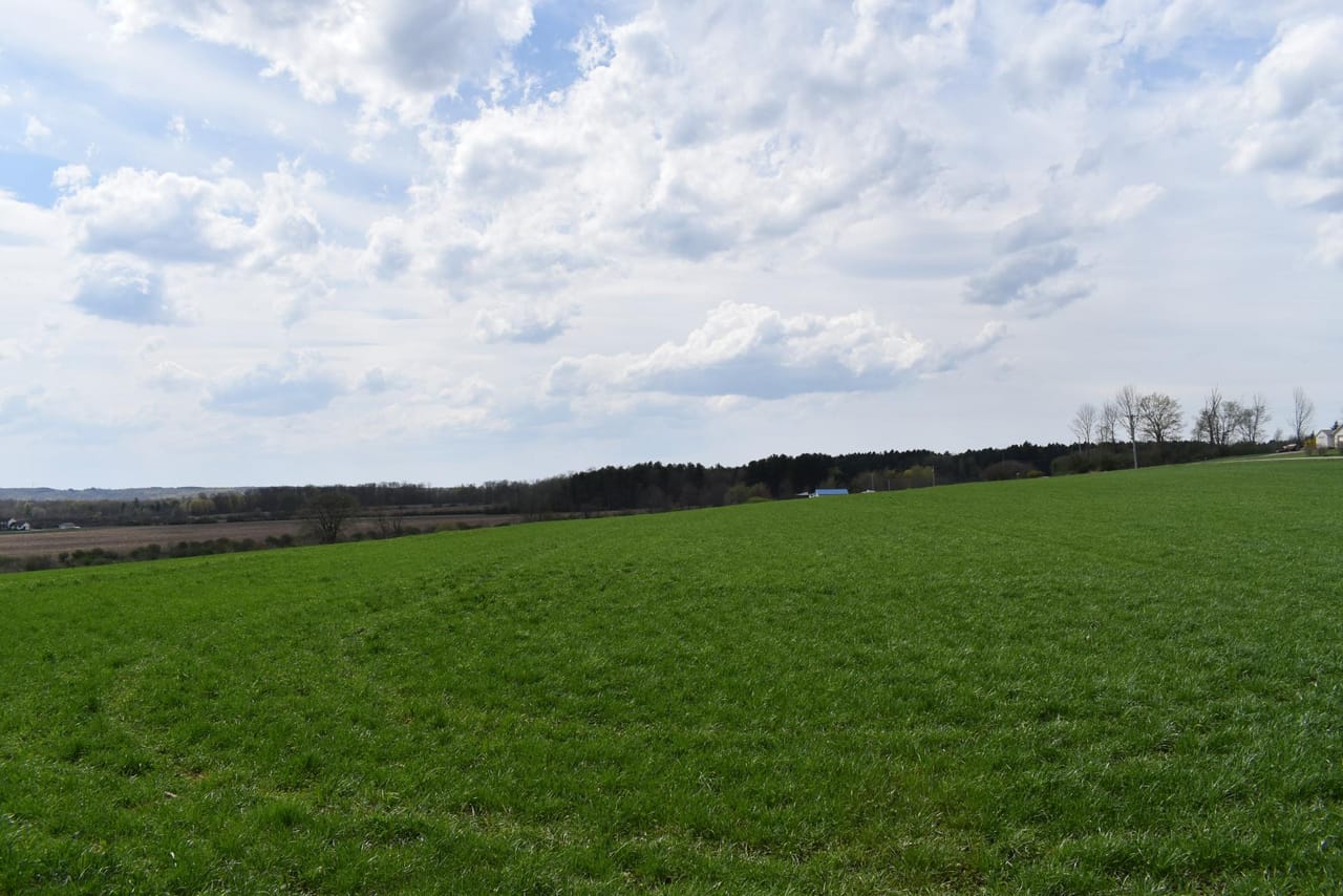 Listing Image 138