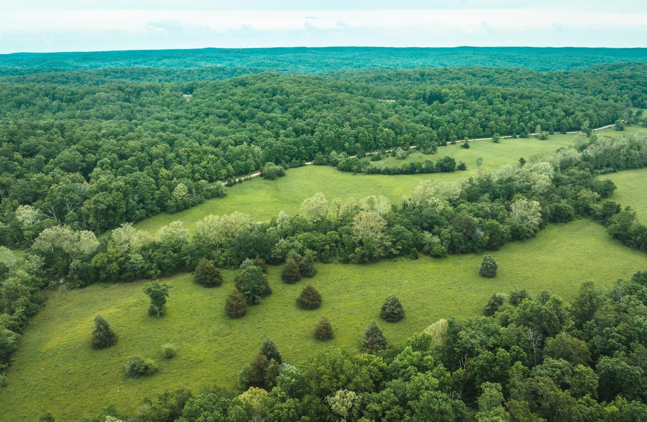 Listing Image 14
