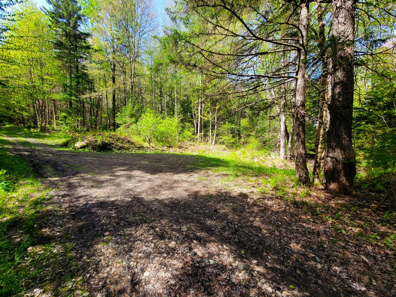 Listing Image 70