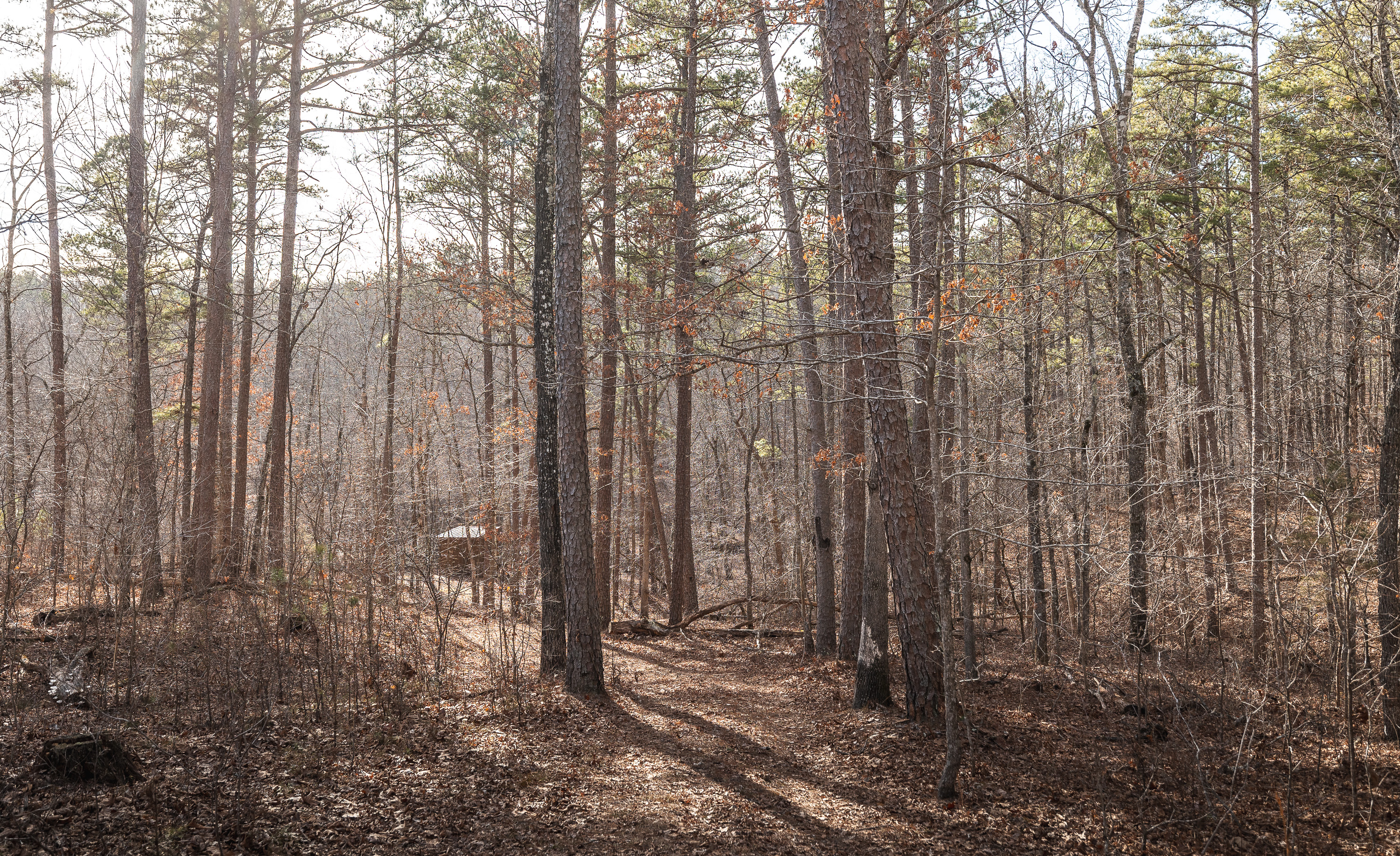 Curly Hole Camp at Peterball Spring