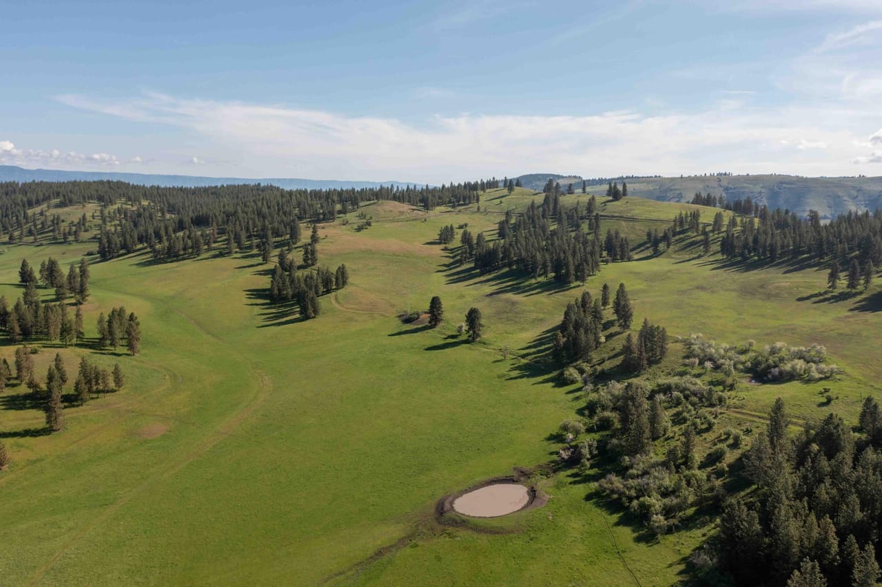 Listing Image 68