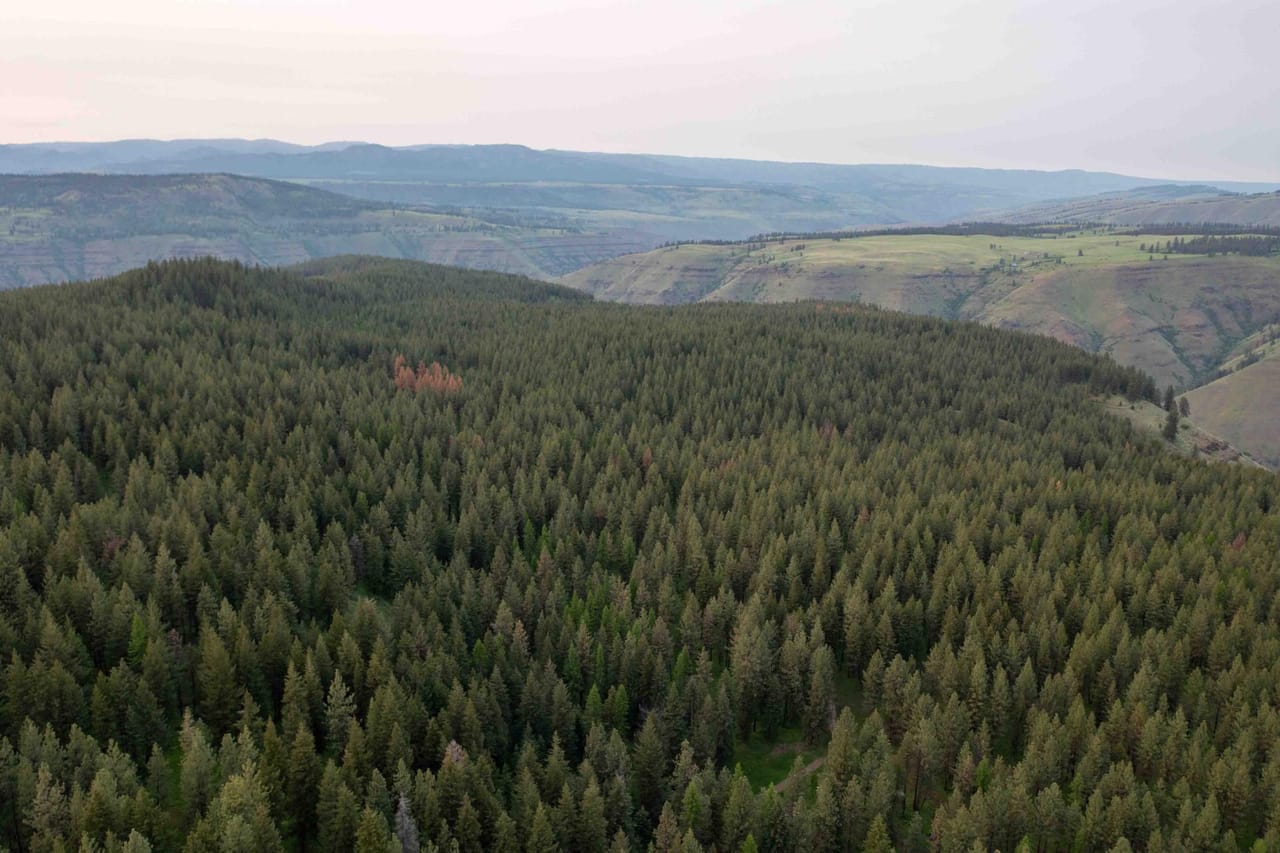 Listing Image 8