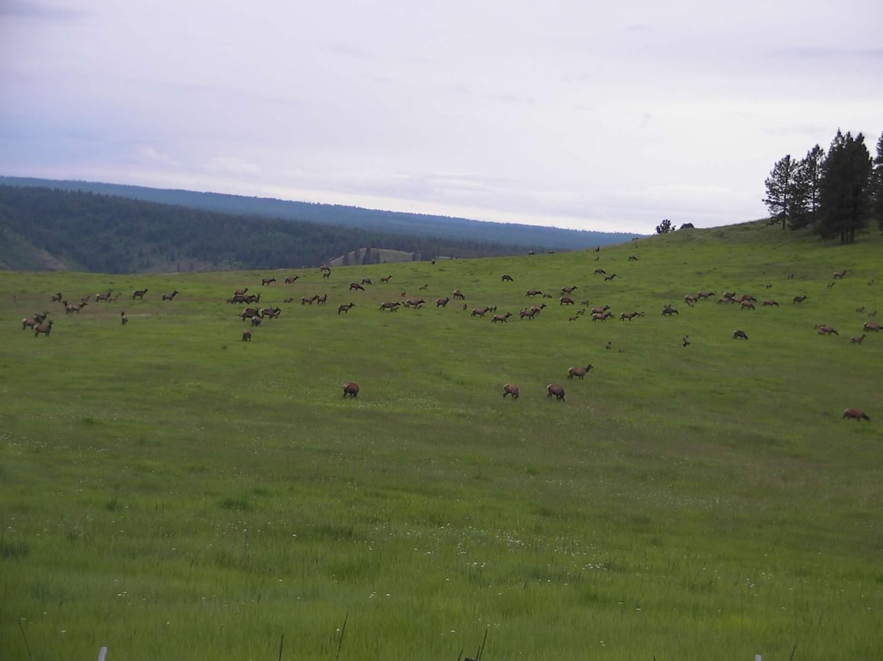 Listing Image 22