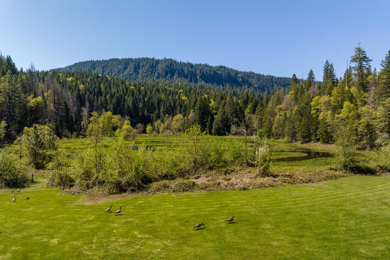 Listing Image 53