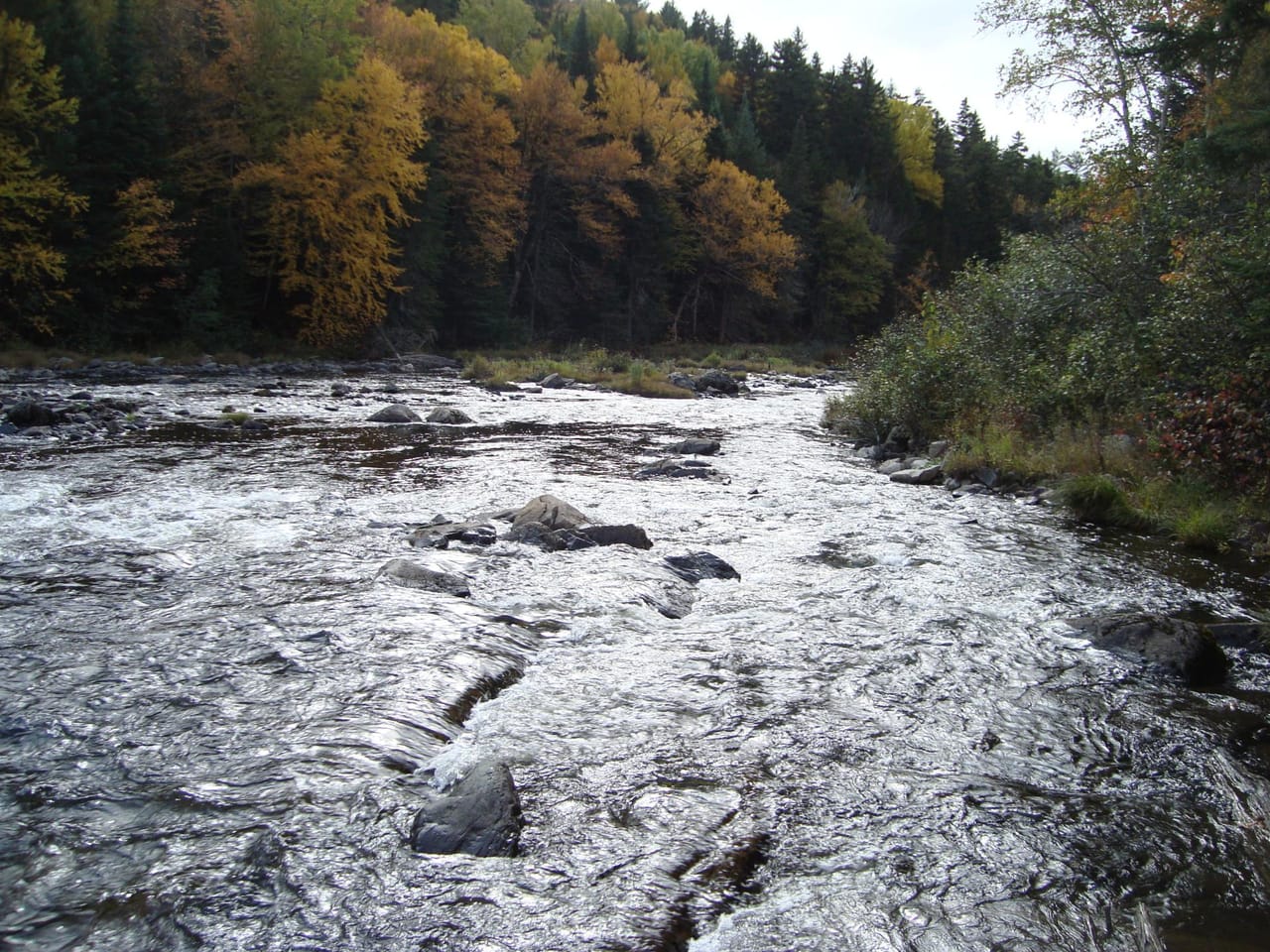 Listing Image 18