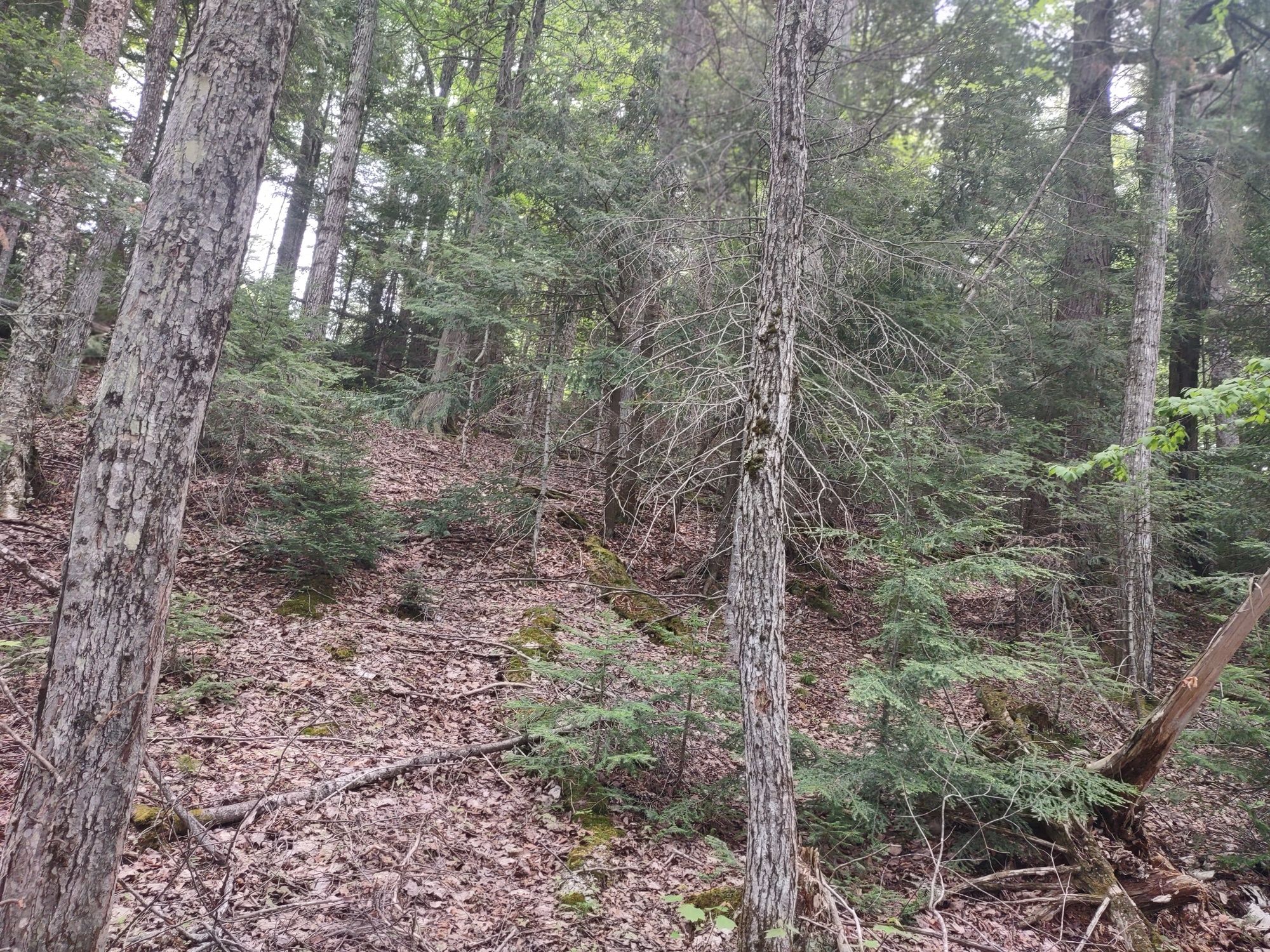 Michigan Private Lake Lot  50178194