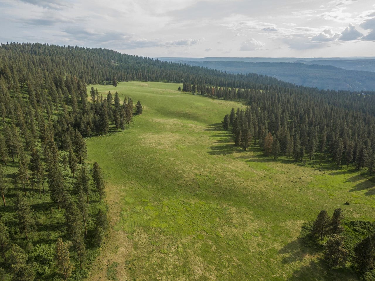 Listing Image 52