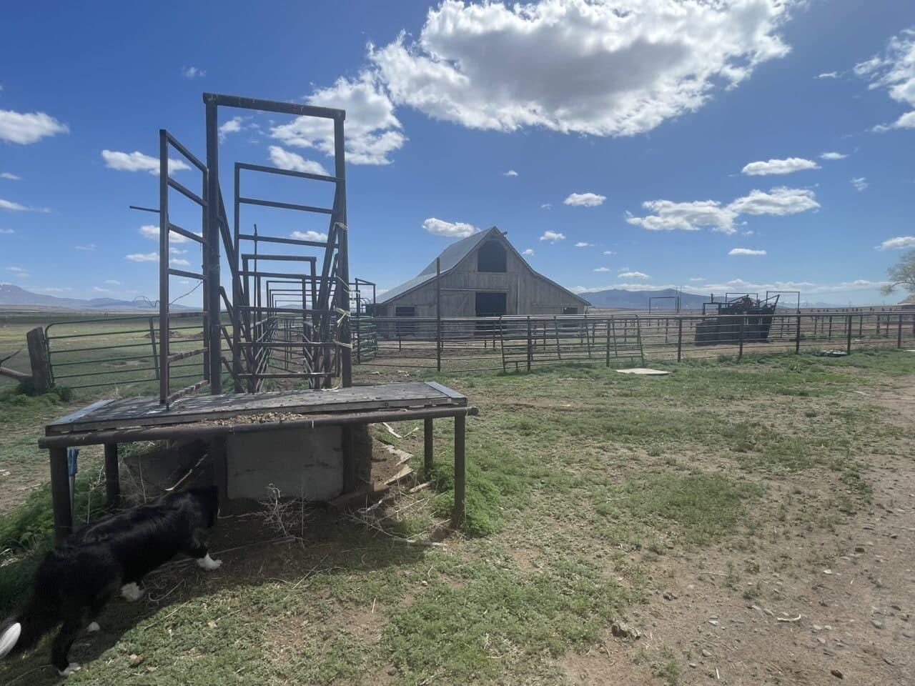 Listing Image 53