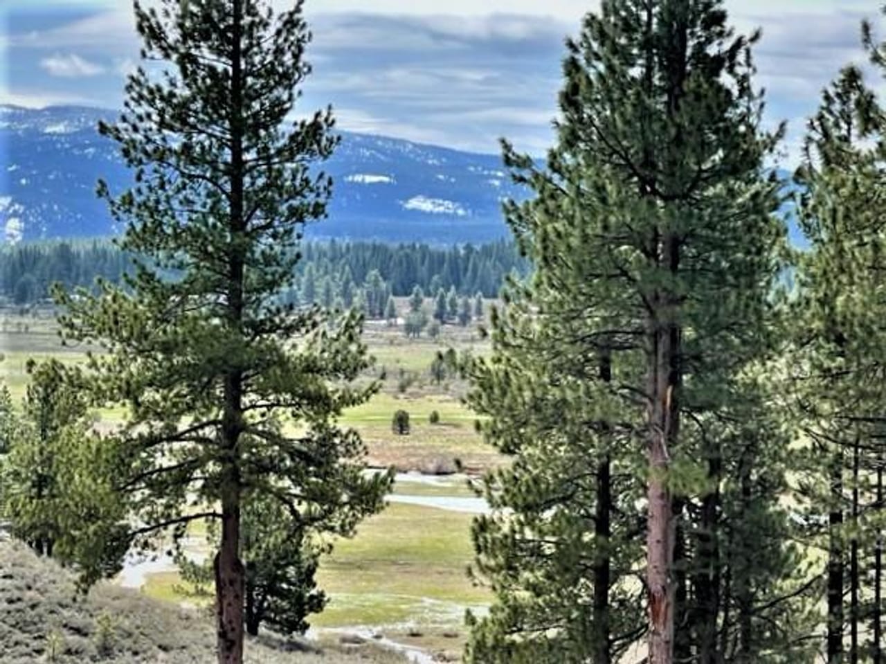Listing Image 34