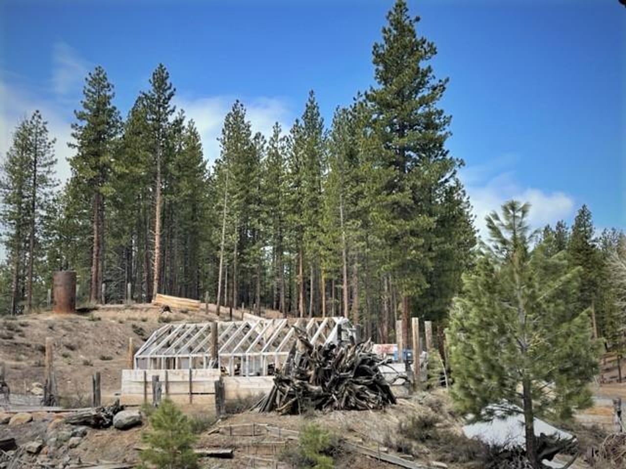 Listing Image 50