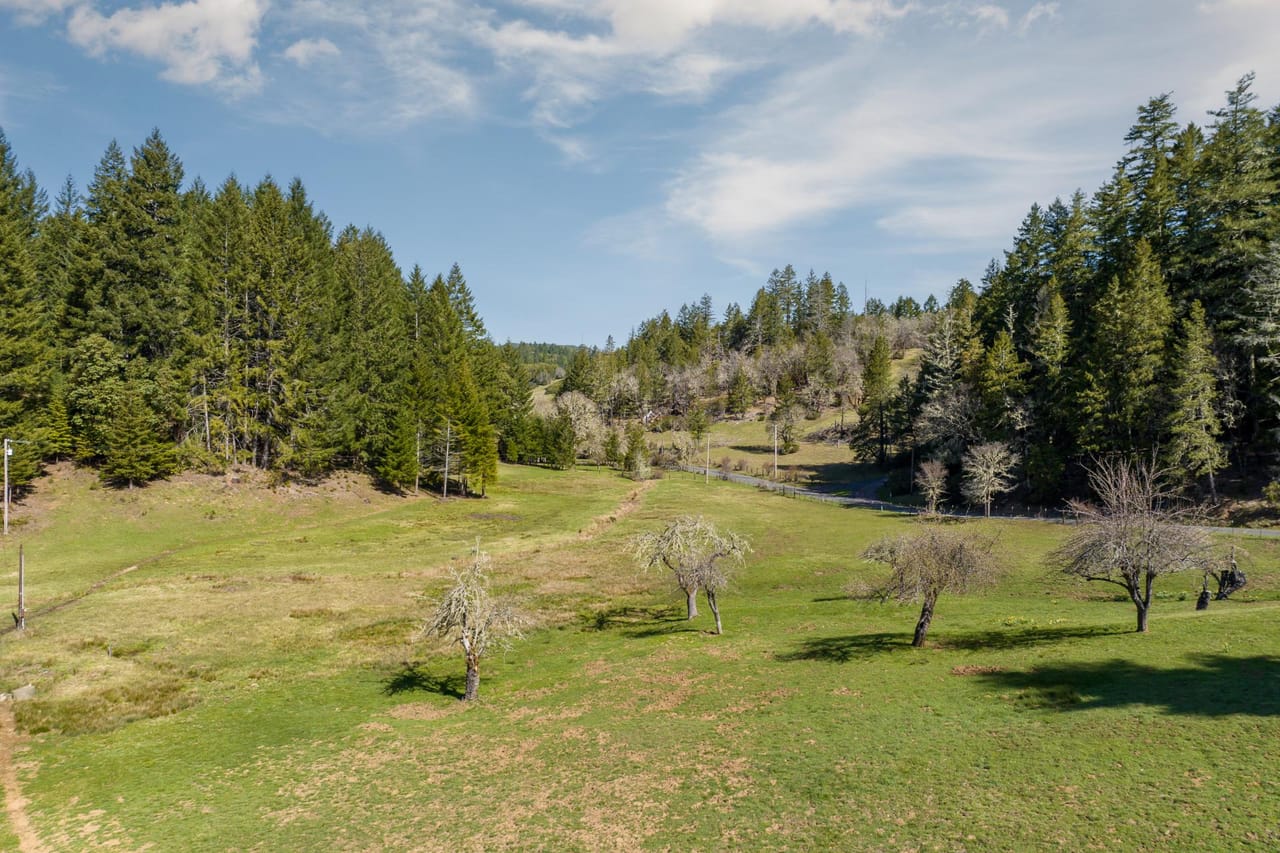Listing Image 65
