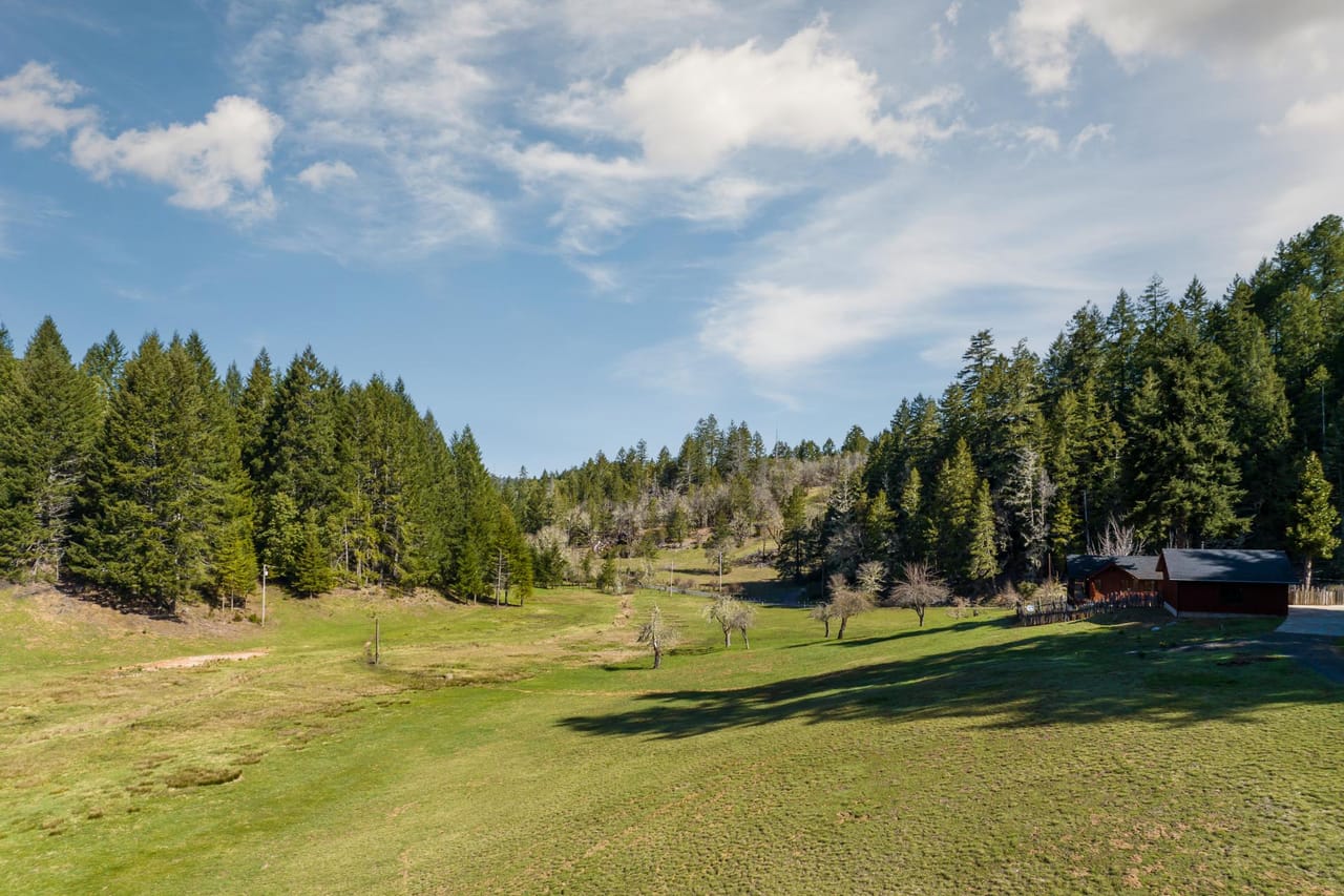 Listing Image 156