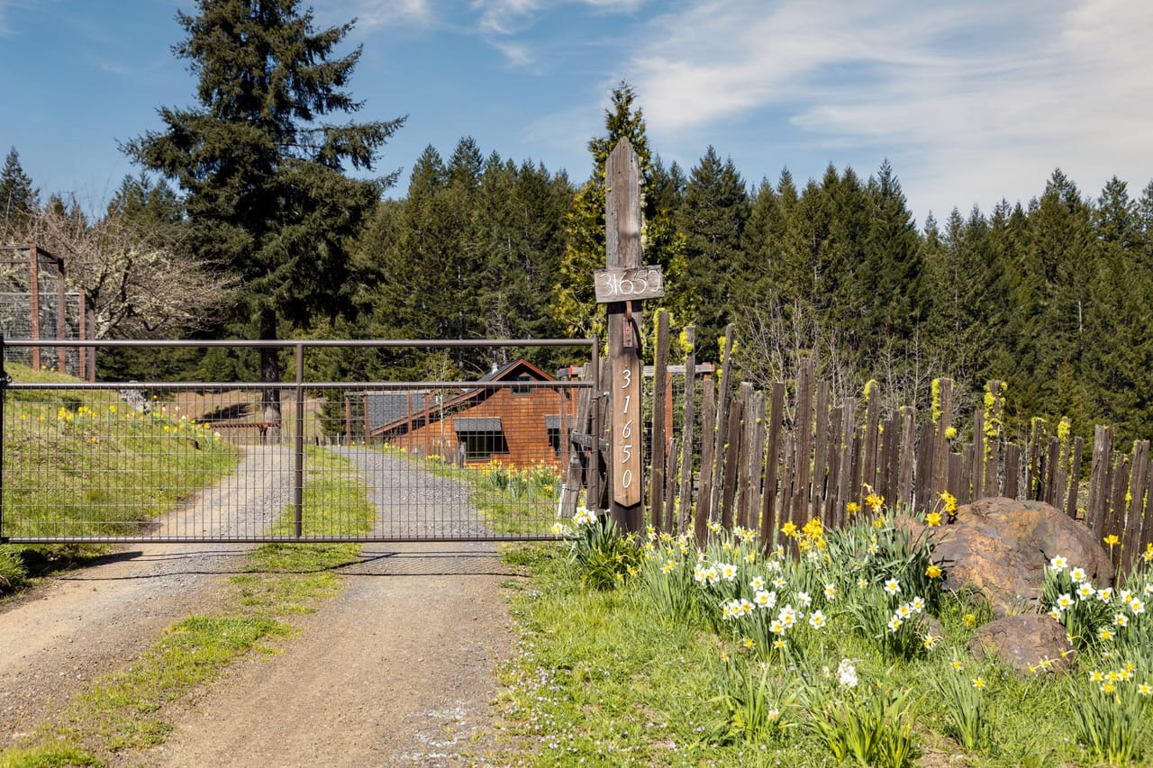 Listing Image 89