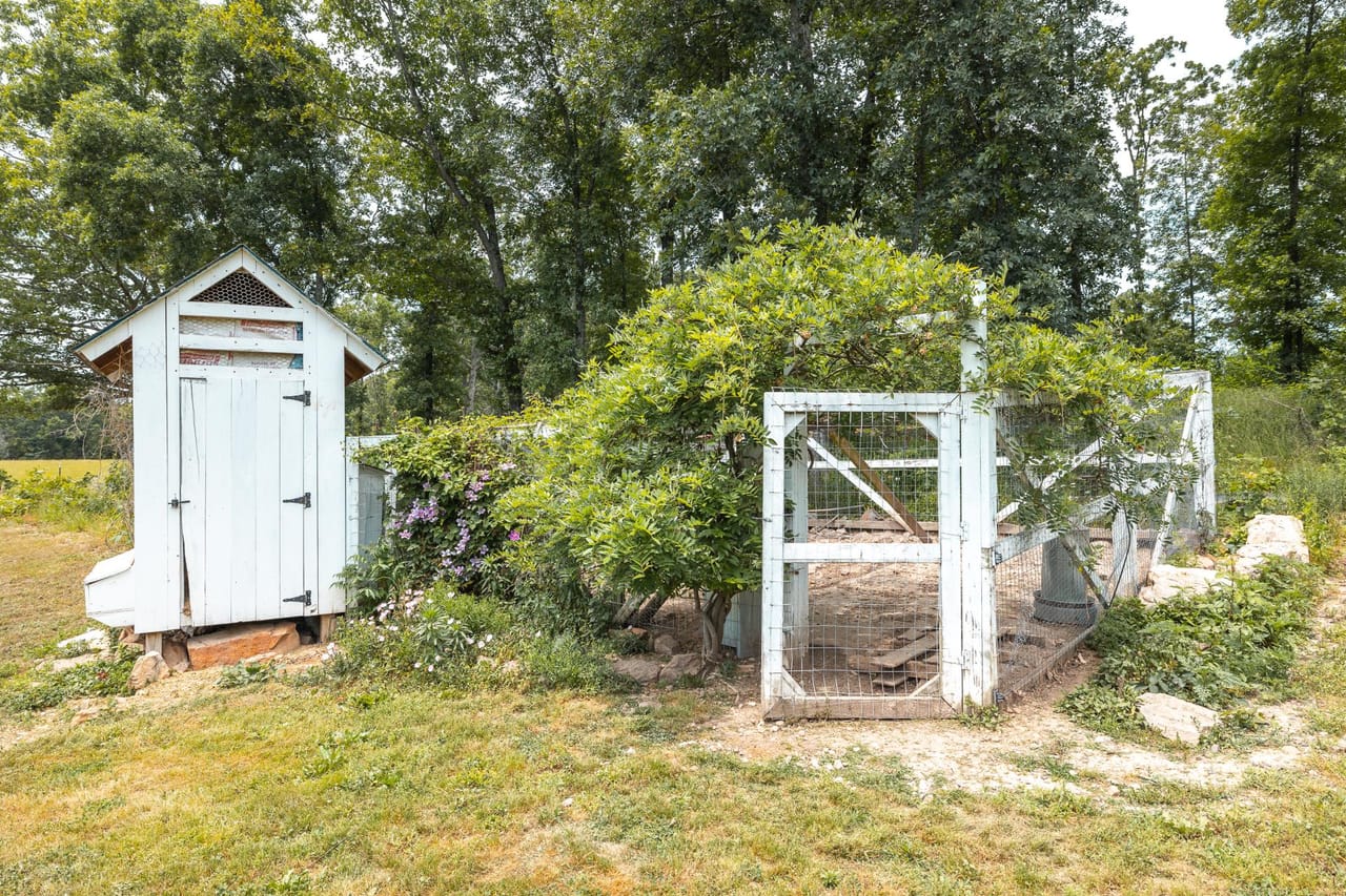 Listing Image 65