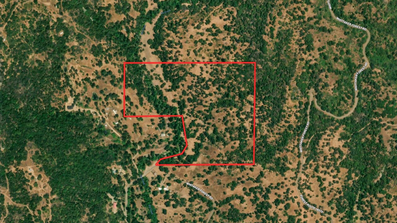 Listing Image 32