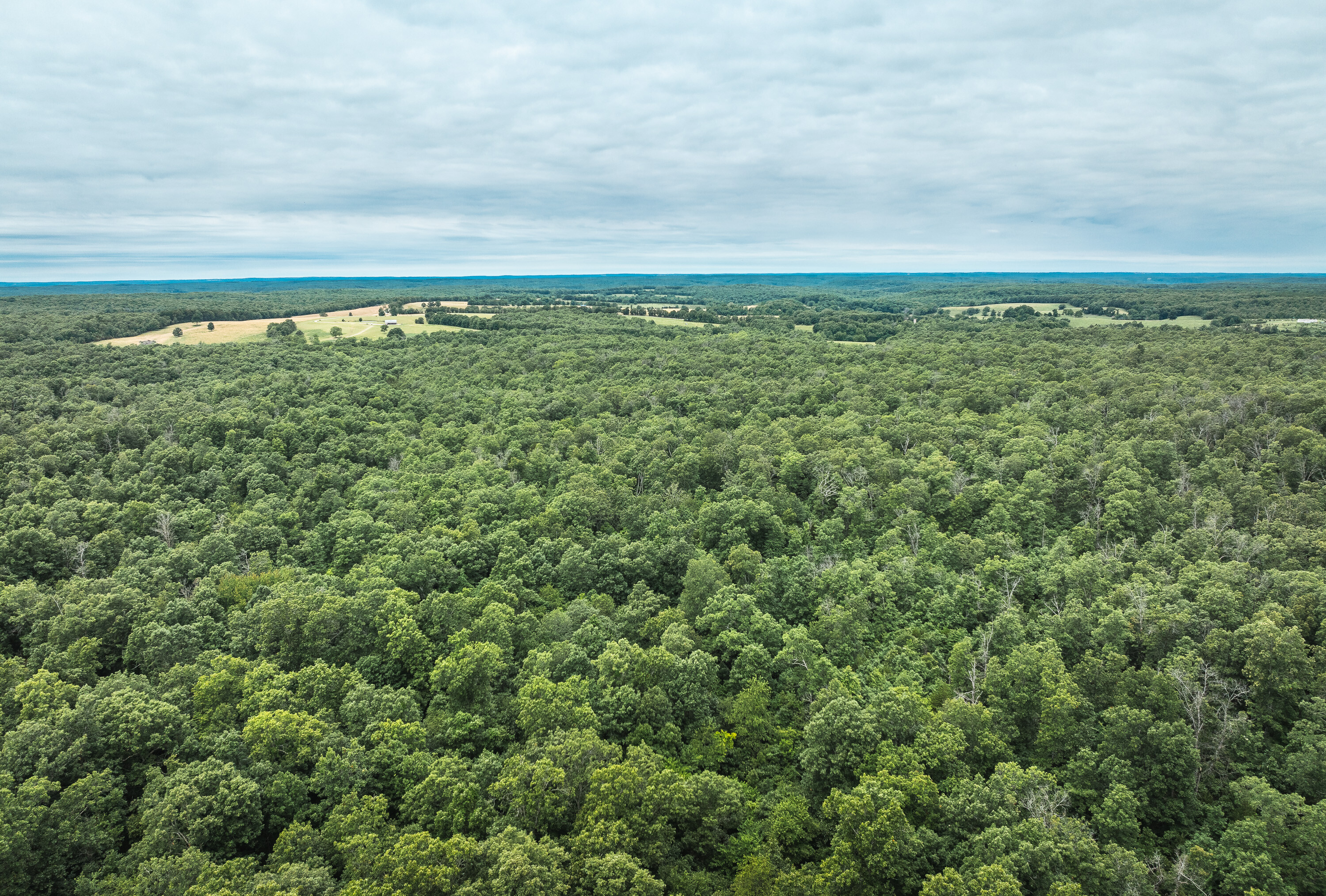 Phelps County Land & Timber 2 Tracts